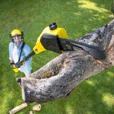 Best Commercial Tree Services  in Mountain Home Af, ID