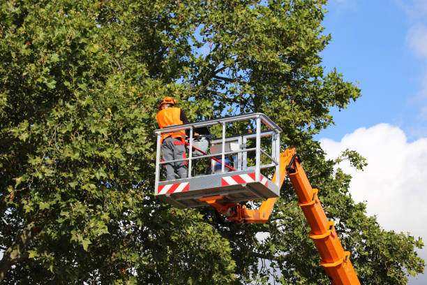 Best Aeration Services  in Mountain Home Af, ID