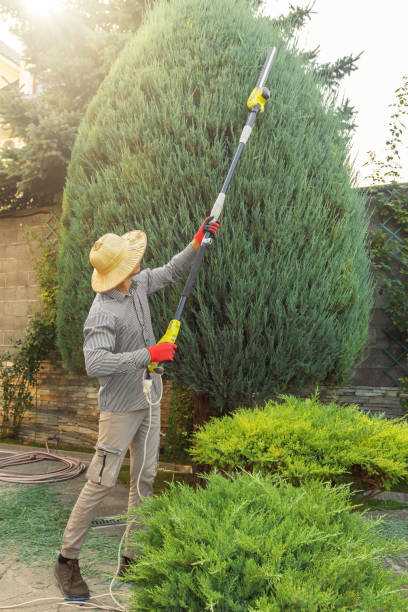 Best Pest Control for Lawns  in Mountain Home Af, ID